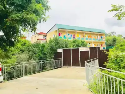 Бугенвиллия - 0