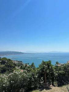 Il Melograno In Costa d'Amalfi - 15