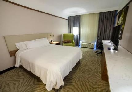 Hilton Garden Inn Montreal Airport - 50