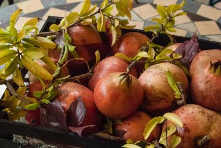 Residence e B&B Villamirella - 150