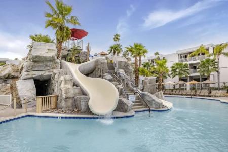 Palm Canyon - 8