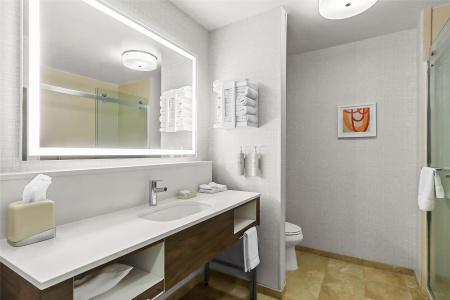 Hampton Inn & Suites West - 78