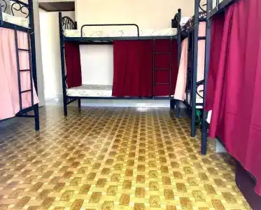 Friends' House - 7