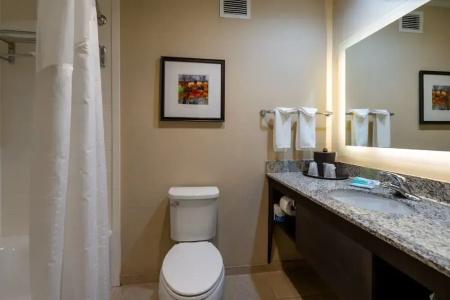 Holiday Inn Murfreesboro/Nashville, An Ihg - 72