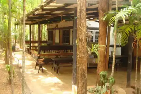 Sam's Jungle - 5
