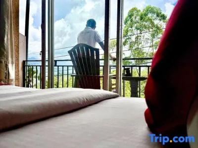 The Ella Nature Life Guest Inn - 47