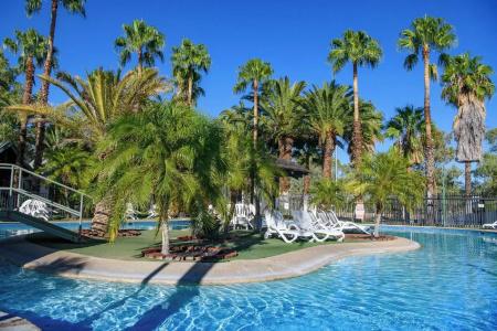 Desert Palms - 8