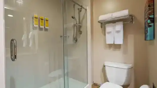 Best Western Plus - 133