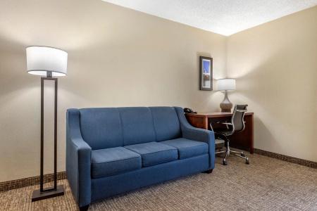 Comfort Inn Charlotte Airport Uptown - 63