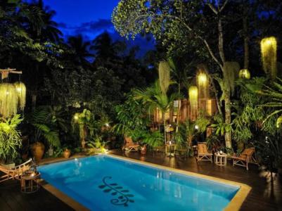 Fern Paradise - 7