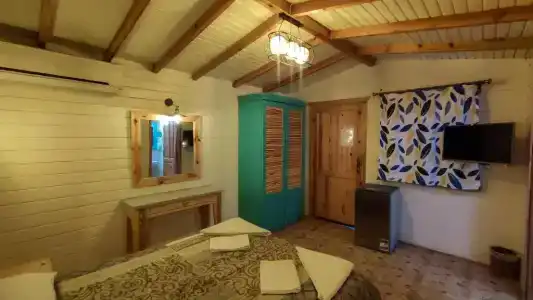 Shams & Dive Centre - 71