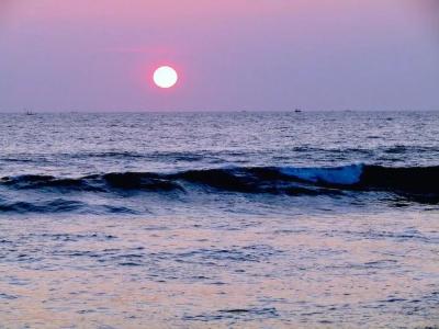 Amadeo Beach Resort - 10