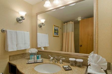 Hilton North Hills - 8