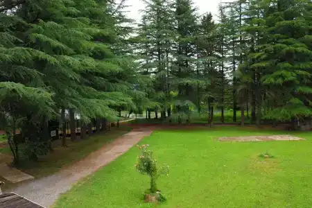 Imeri Park - 80
