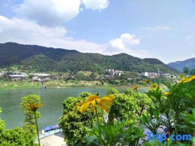Wuyu (Chongqing Jinyun Mountain, Southwest University) - 50