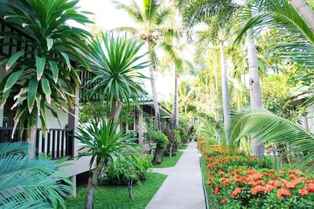 Lamai Inn 99 Bungalows - 247