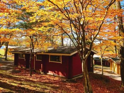 Karuizawa Prince East - 74
