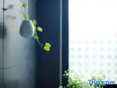 Yueting Eco Inn - 25