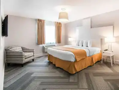 Quality Inn & Suites By the Parks - 39