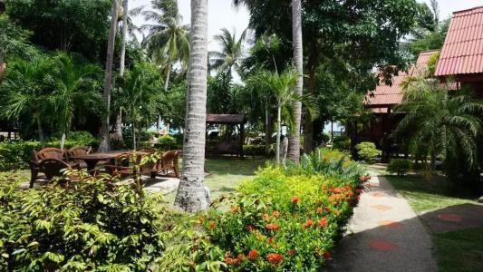 Morning Star Resort - 177