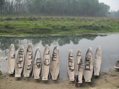 Eco Adventure - 9