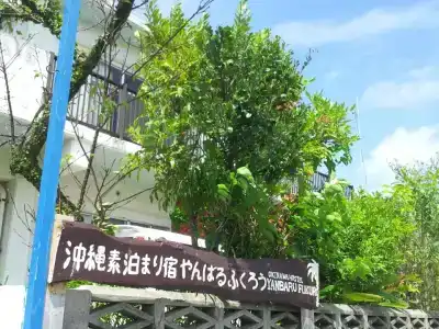 Okinawa Hostel Yanbaru Fukuro - 9