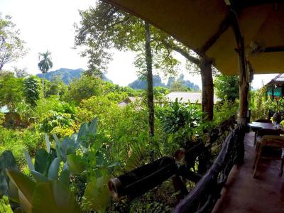Khao Sok Morning Mist Resort - 5