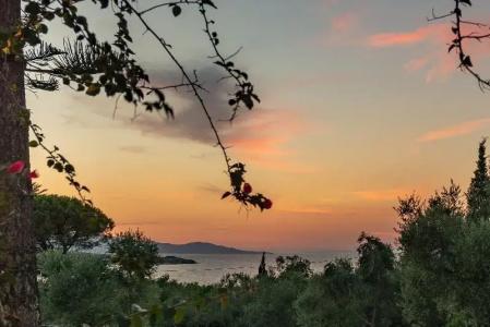 Ionian Aura - 38