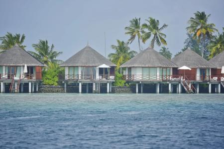 Safari Island - 28