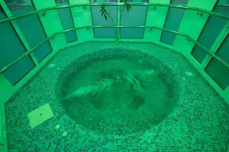 Green Garden - 14