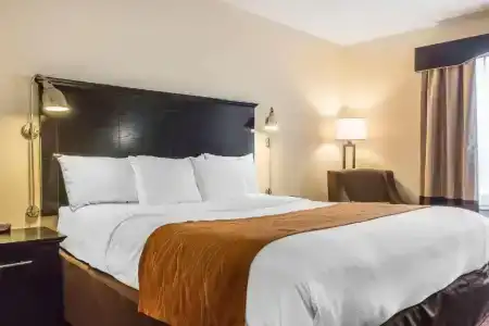 Comfort Inn & Suites LaGuardia Airport - 25