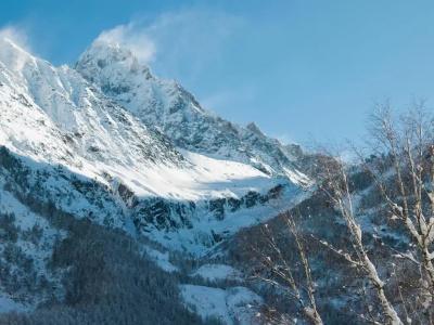 Les Rives d'Argentière - 65