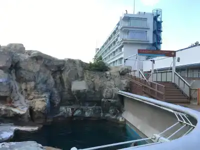 Kamogawa Sea World - 17