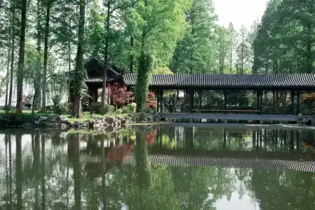 Zhejiang Xizi - 27