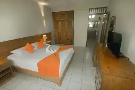 El Pelicano Apart-Hotel - 63