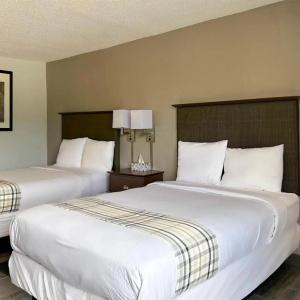 Rodeway Inn Airport - 30