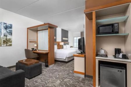 SpringHill Suites by Marriott Downtown/Cameron Harbor - 62