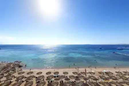 Reef Oasis Beach Resort - 17