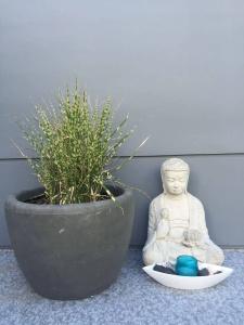 Serenity Stay - 2