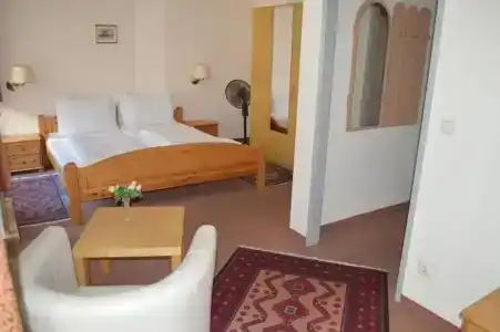 Pension Walzerstadt - 43