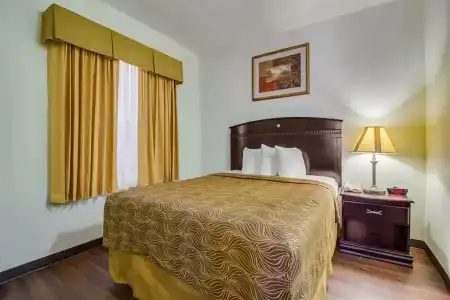 MainStay Suites Texas Medical Center/Reliant Park - 5