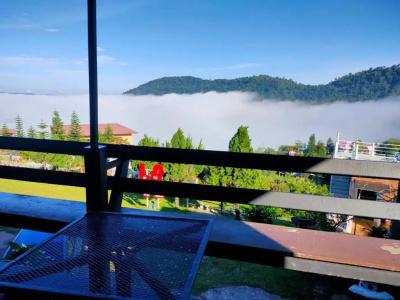 Khao Kho Tree Top - 52