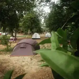 Bellerofon Camping - 62