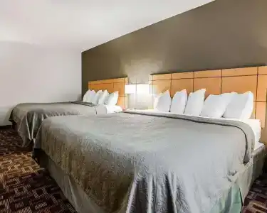 Quality Inn & Suites Airport - 56
