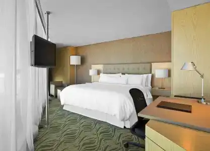 The Westin Guadalajara - 42