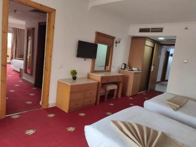 Elite Regency Pyramids view - 43