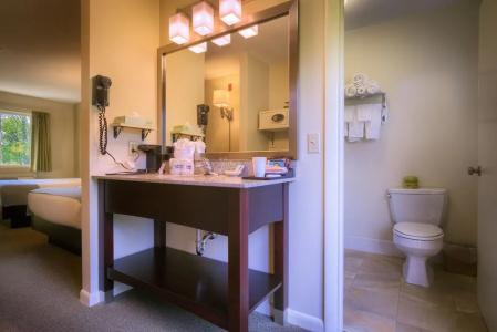 Sun & Ski Inn and Suites - 76
