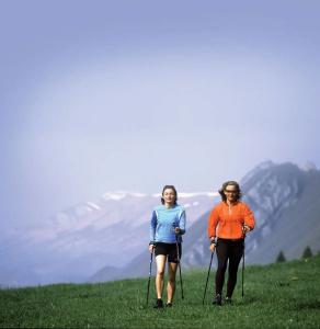 Stoweflake Mountain & Spa - 11