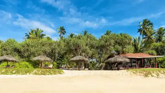 Good Karma Ayurvedic Resort - 22