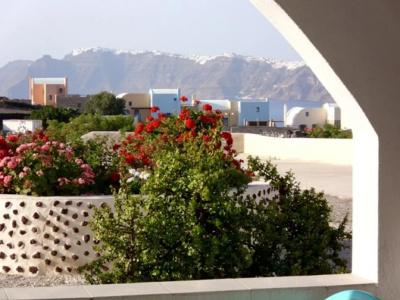Thira's Dolphin - 44